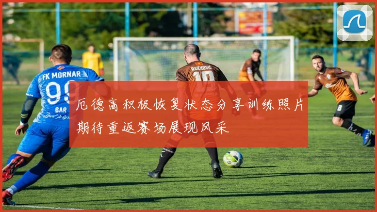 厄德高积极恢复状态分享训练照片期待重返赛场展现风采