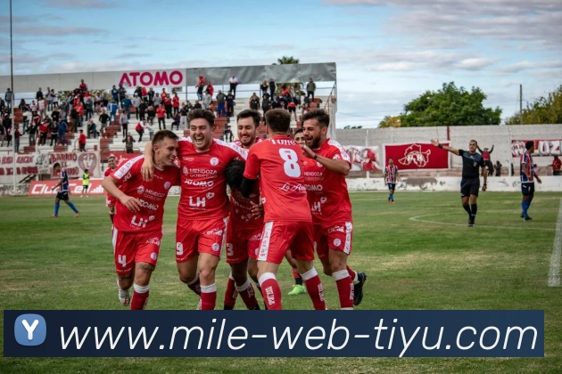 米乐体育平台生态图