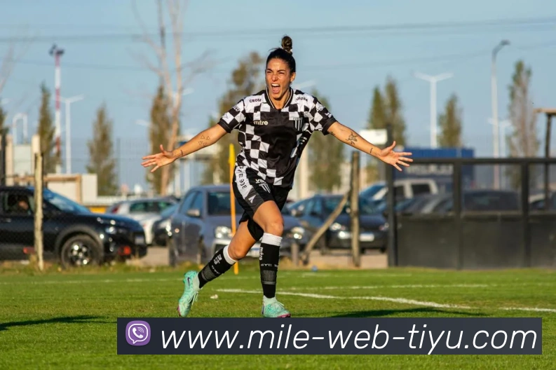 米乐体育APP 封面图